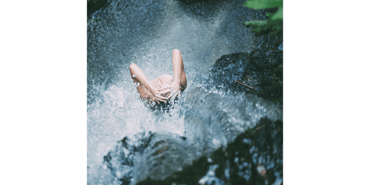 The Complete Guide to Choosing the Best Shower Softener Head